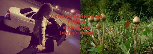гидропоника Верхнеуральск