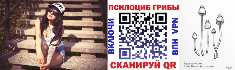 купить наркоту  Новокузнецк  Галлюциногенные грибы Psilocybine cubensis 