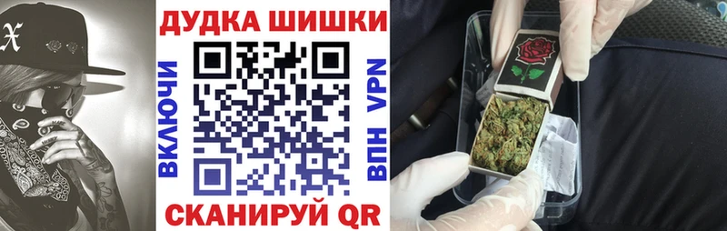 Конопля сатива  Новокузнецк 